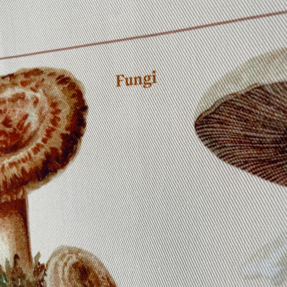 Miniatura: Bandeira Fungi