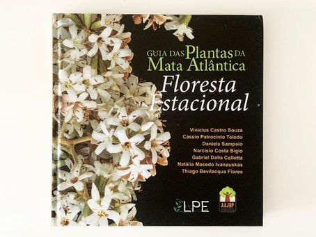 Plantas da Mata Atlântica: Floresta Estacional