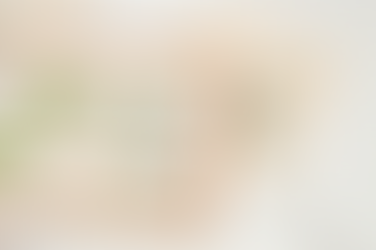 Aprenda a secar plantas para fazer lindos quadros