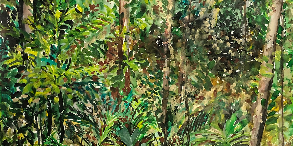 Projeto Vitrine: "Criação artística e as memórias da Amazônia"