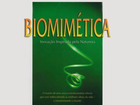 Biomimética: Inovação Inspirada pela Natureza