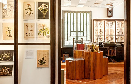 museu jbsp_edited.jpg