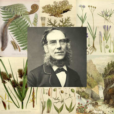 Hooker, o botânico e amigo de Charles Darwin
