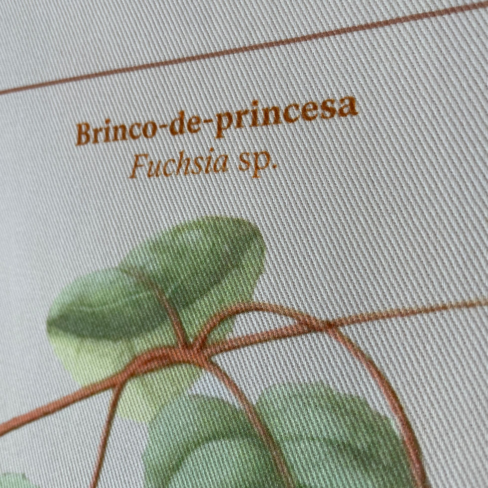 Miniatura: Bandeira Brinco-de-princesa
