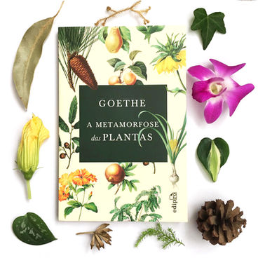 A metamorfose das plantas