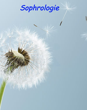 Gallery Layout Vertical_edited_edited_ed