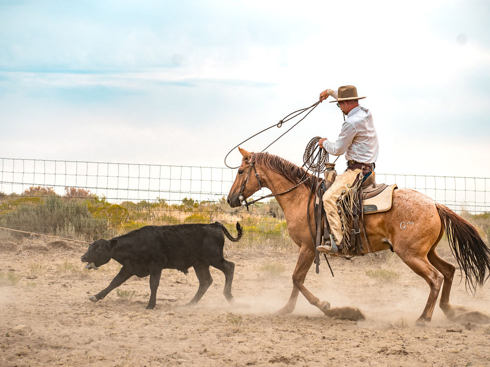 Cowboys