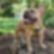 18005973911407827.webp