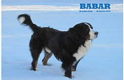 BABAR_edited.jpg