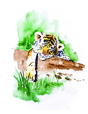 jpeg-optimizer_sleeping cub.jpg