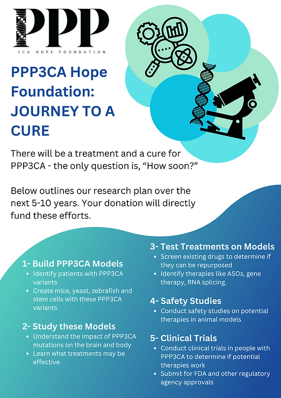 PPP3CA Research info