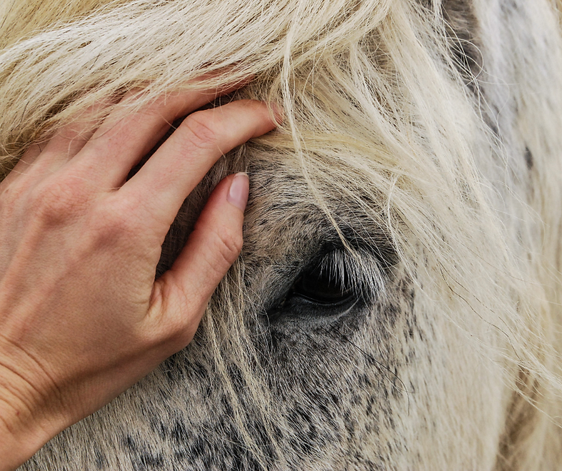 pop o graph text.png