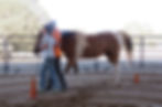 Gathering with People and Horses - Restoring Resilience