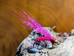 Shrimp Bucktail Fly 3-Pack