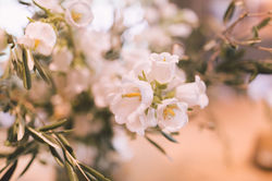 Olivia Lanckriet-2353