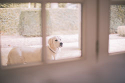 Olivia Lanckriet-2676