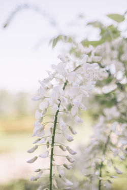 Joseph & Basile-6915