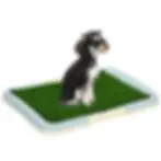 DOG PUPPY TOILET MAT IRELAND DUBLIN CORK GALWAY KILDARE
