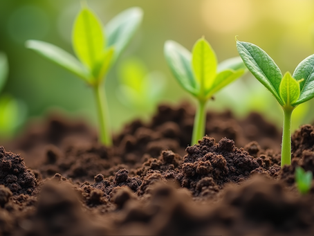 The Best Materials for a Thriving Home Garden