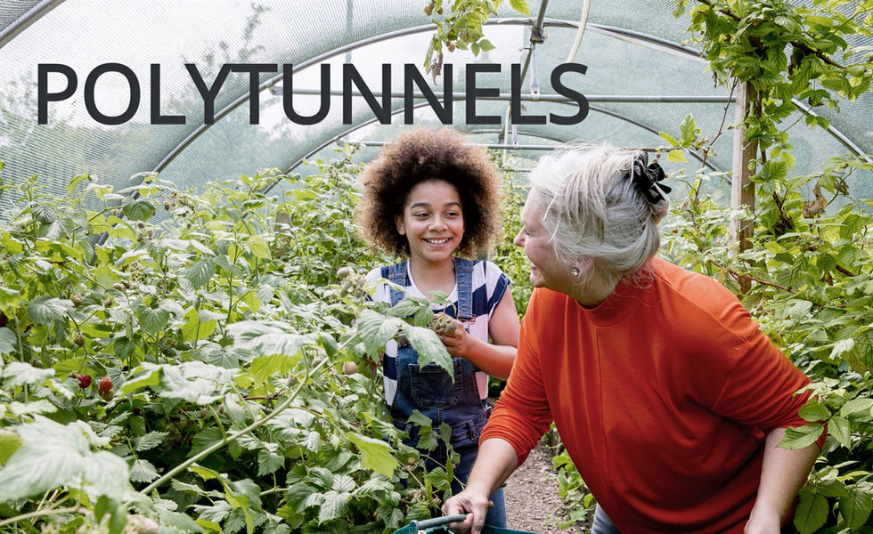POLYTUNNEL FOR SALE IN IRELAND