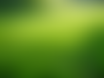 Tips for Keeping Your Lawn Green and Healthy