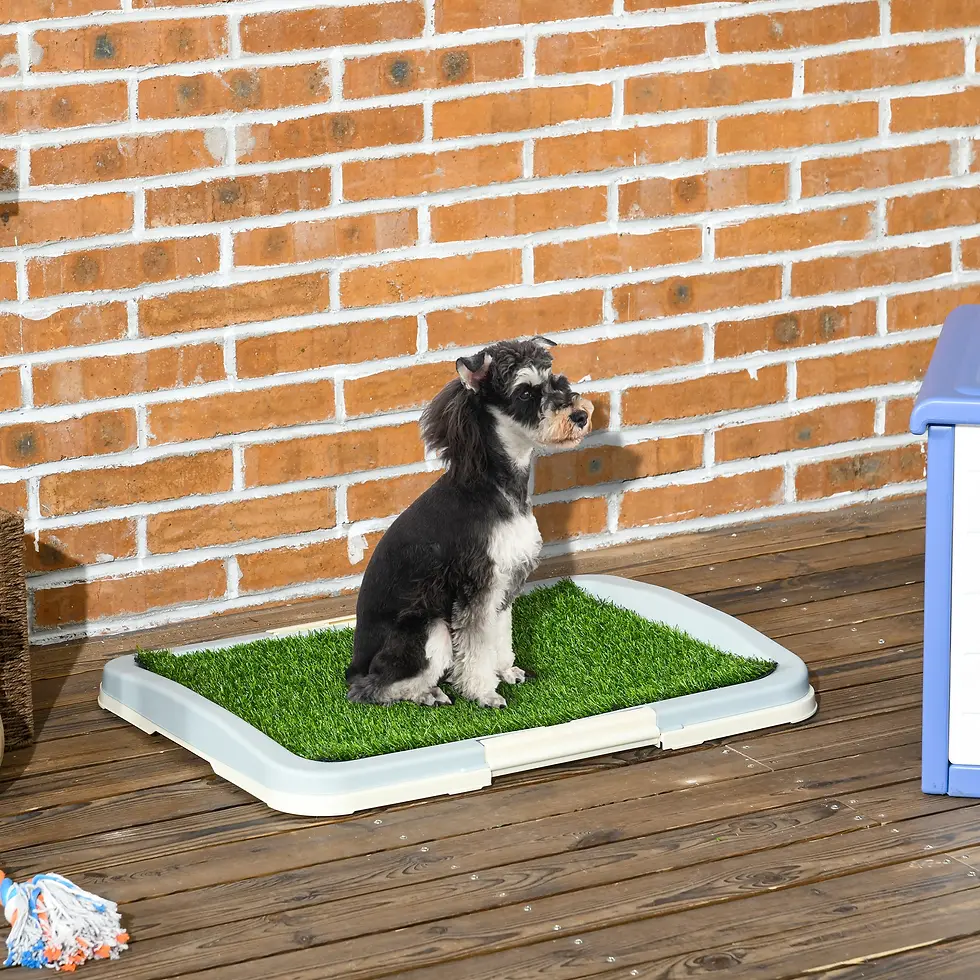 Thumbnail: DOG PUPPY TOILET MAT IRELAND