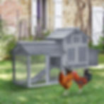 Grey Egg Villa chicken coop in garden - hen house for sale in Ireland with outdoor run for two roosters