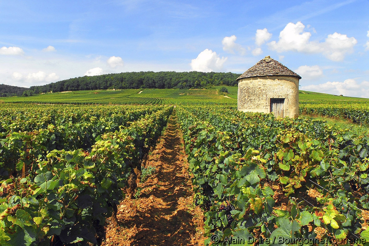 Domaine Walbaum - Vignoble & Hôtel Vallon Pont D'arc