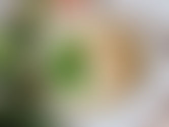 VELOUTÉ DE CHATAIGNES ET FOIE GRAS