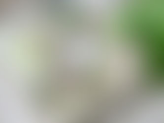 TARTARE D'HUITRE À LA CORIANDRE ECHALOTE GINGEMBRE