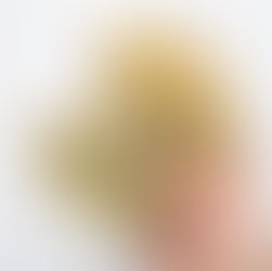 COOKIES CACAHUETES PEPITES DE CHOCOLATS FLEURS DE SEL