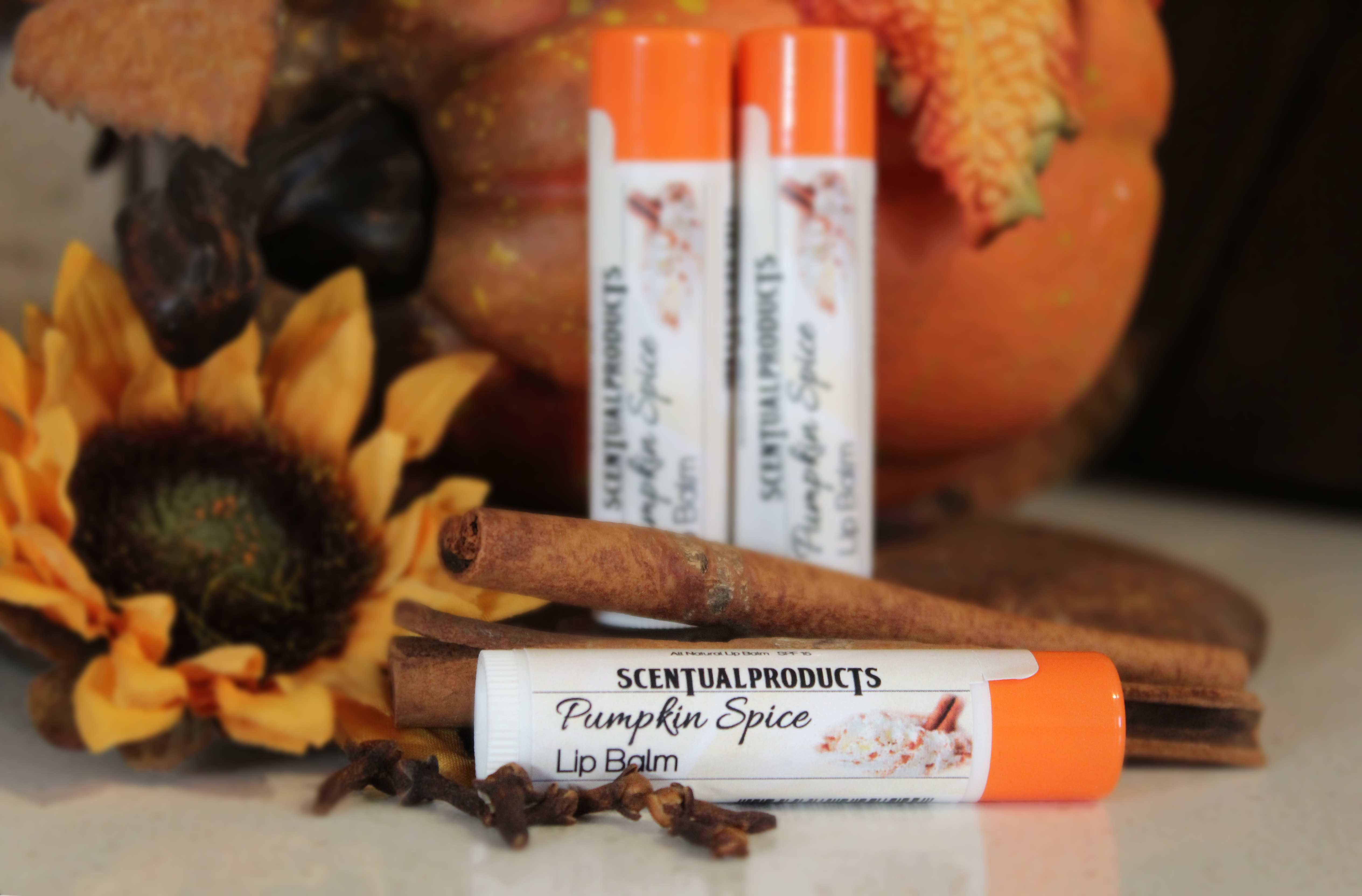 Pumpkin Spice Scented lip Balm