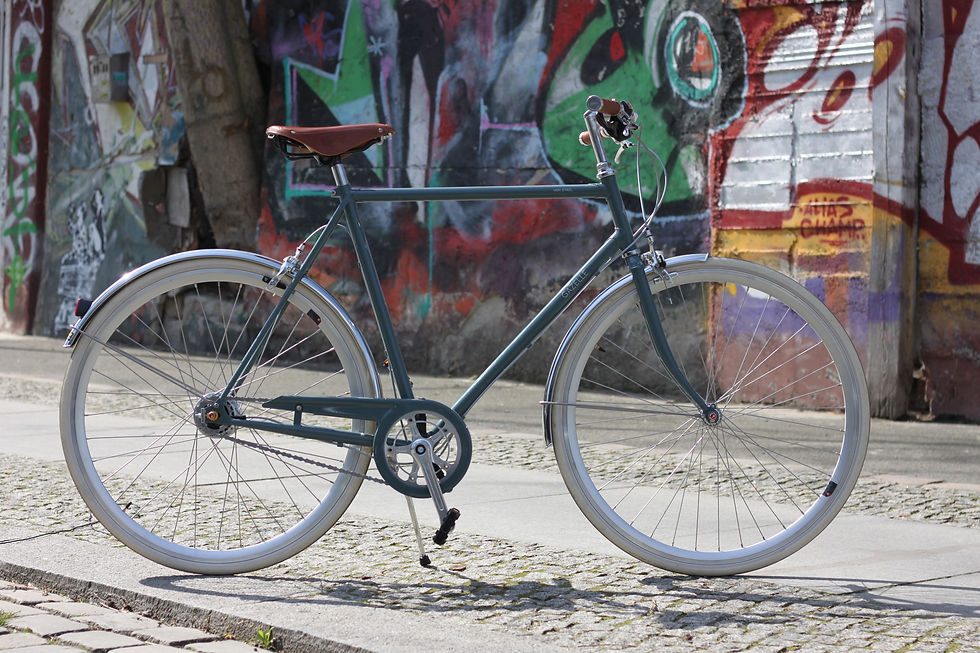 Gazelle Van Stael