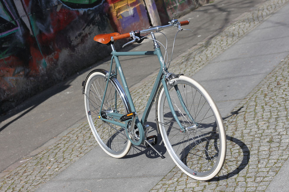 Gazelle Van Stael