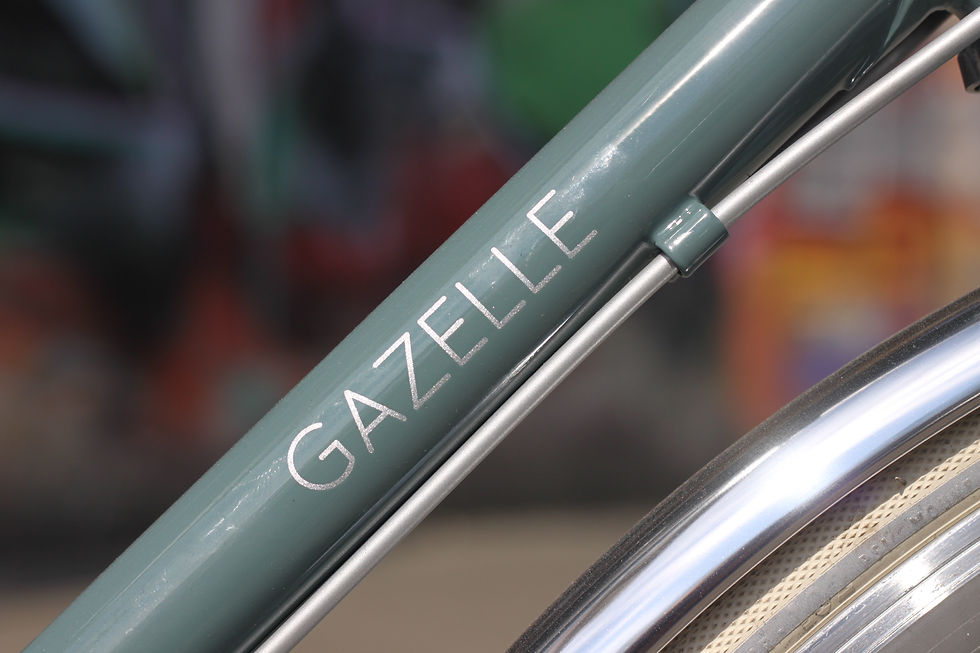 Gazelle Van Stael