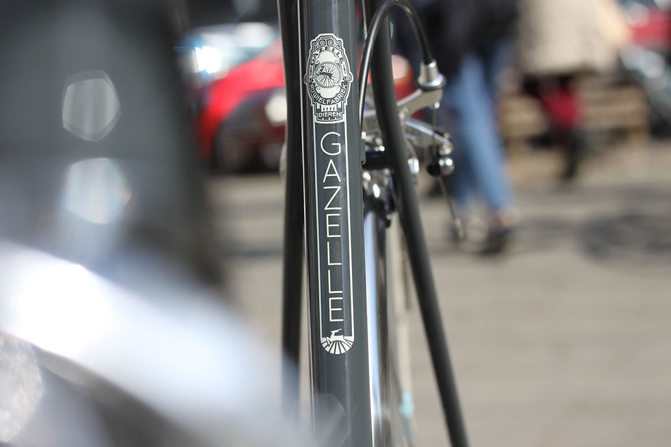 Gazelle Van Stael
