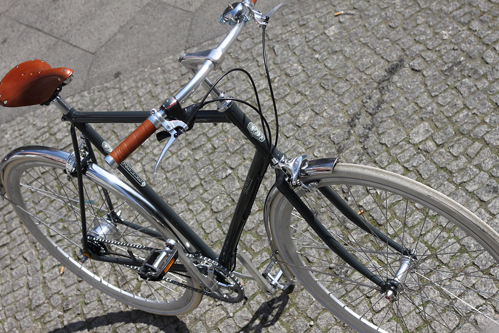 Gazelle Van Stael