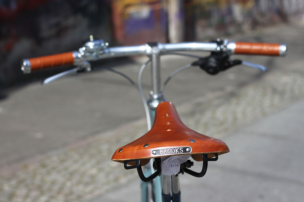 Gazelle Van Stael