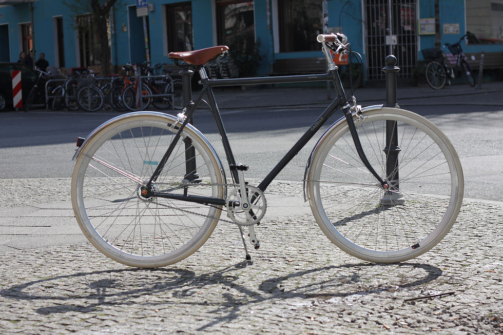 Gazelle Van Stael