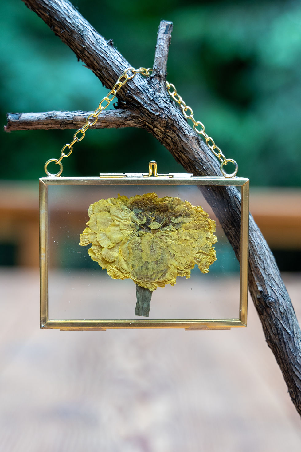 Marigold Mini Chain Frame