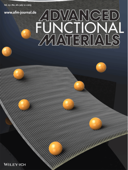 afm_cover.gif