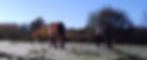 20201105_100757.jpg