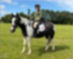 Area Summer Dressage