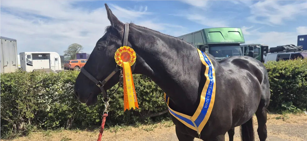 Success at BRC Winter Dressage Championships