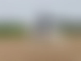 More amazing dressage success!