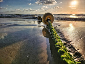 Green rope and buoy on wet sand, leading to waves under a setting sun. Cloudy sky, reflecting sea, serene beach atmosphere.