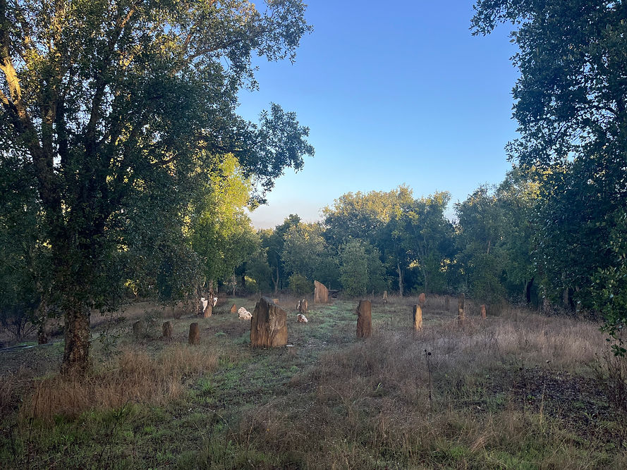 Stone Circle.jpeg