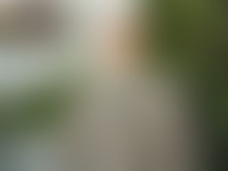 Bürgermeisterbrief Nummer 5