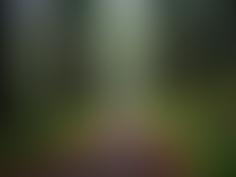 Discover the Top 5 Breathtaking Hiking Spots in Oregon