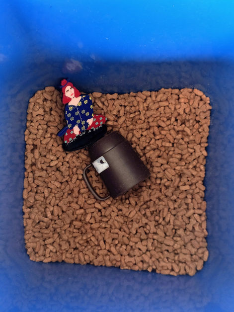 Mum On A Bum (10).jpg